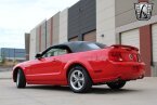 Thumbnail Photo 4 for 2006 Ford Mustang GT