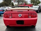 Thumbnail Photo 4 for 2006 Ford Mustang GT