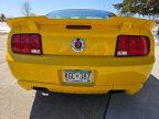 Thumbnail Photo 5 for 2006 Ford Mustang