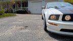 Thumbnail Photo 5 for 2006 Ford Mustang