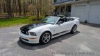 Thumbnail Photo 3 for 2006 Ford Mustang