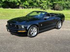 Thumbnail Photo 2 for 2006 Ford Mustang
