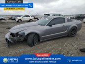 New 2006 Ford Mustang GT Coupe