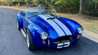 Thumbnail Photo 2 for 2006 Shelby Cobra