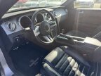 Thumbnail Photo 4 for 2007 Ford Mustang GT Coupe