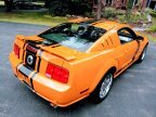 Thumbnail Photo 2 for 2007 Ford Mustang GT Premium for Sale by Owner