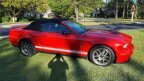 Thumbnail Photo 3 for 2007 Ford Mustang Shelby GT500 Convertible for Sale by Owner
