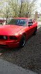 Thumbnail Photo 6 for 2007 Ford Mustang GT Coupe for Sale by Owner