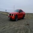 Thumbnail Photo 4 for 2007 Ford Mustang GT Coupe for Sale by Owner