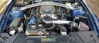 Thumbnail Photo 6 for 2007 Ford Mustang GT