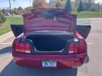 Thumbnail Photo 5 for 2007 Ford Mustang