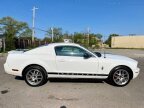 Thumbnail Photo 6 for 2007 Ford Mustang
