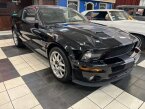 Thumbnail Photo 6 for 2007 Ford Mustang