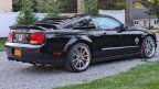 Thumbnail Photo 6 for 2007 Ford Mustang