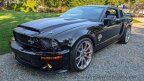 Thumbnail Photo 1 for 2007 Ford Mustang