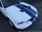 Thumbnail Photo 5 for 2007 Ford Mustang Shelby GT500