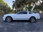 Thumbnail Photo 4 for 2007 Ford Mustang Shelby GT500