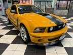 Thumbnail Photo 3 for 2007 Ford Mustang