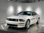 Thumbnail Photo 1 for 2007 Ford Mustang