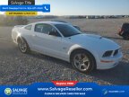 Thumbnail Photo 5 for 2007 Ford Mustang GT Coupe