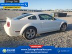 Thumbnail Photo 4 for 2007 Ford Mustang GT Coupe