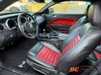 Thumbnail Photo 1 for 2007 Ford Mustang Shelby GT500 Coupe