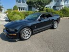 Thumbnail Photo 6 for 2007 Ford Mustang
