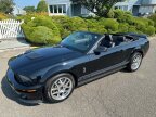 Thumbnail Photo 2 for 2007 Ford Mustang
