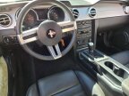 Thumbnail Photo 5 for 2007 Ford Mustang GT Premium