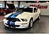 2007 Ford Mustang Shelby GT500