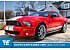 2007 Ford Mustang Shelby GT500