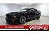 2007 Ford Mustang Shelby GT500 Coupe