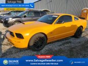 New 2007 Ford Mustang GT Coupe