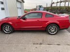 Thumbnail Photo 2 for 2008 Ford Mustang Shelby GT500 for Sale by Owner