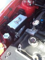 Thumbnail Photo 5 for 2008 Ford Mustang Shelby GT500
