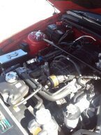 Thumbnail Photo 1 for 2008 Ford Mustang Shelby GT500