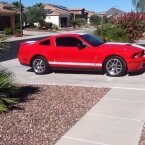 Thumbnail Photo 6 for 2008 Ford Mustang Shelby GT500
