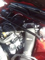 Thumbnail Photo 3 for 2008 Ford Mustang Shelby GT500