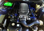Thumbnail Photo 3 for 2008 Ford Mustang GT