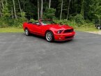 Thumbnail Photo 1 for 2008 Ford Mustang Shelby GT500 Convertible