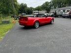 Thumbnail Photo 5 for 2008 Ford Mustang Shelby GT500 Convertible