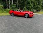 Thumbnail Photo 2 for 2008 Ford Mustang Shelby GT500 Convertible