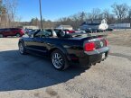 Thumbnail Photo 5 for 2008 Ford Mustang Convertible