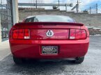 Thumbnail Photo 6 for 2008 Ford Mustang