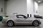Thumbnail Photo 6 for 2008 Ford Mustang