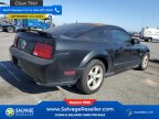 Thumbnail Photo 4 for New 2008 Ford Mustang GT Coupe