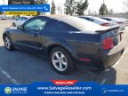 Thumbnail Photo 3 for New 2008 Ford Mustang GT Coupe