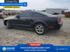 Thumbnail Photo 3 for New 2008 Ford Mustang Coupe