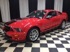 Thumbnail Photo 2 for 2008 Ford Mustang Shelby GT500