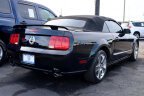 Thumbnail Photo 6 for 2008 Ford Mustang